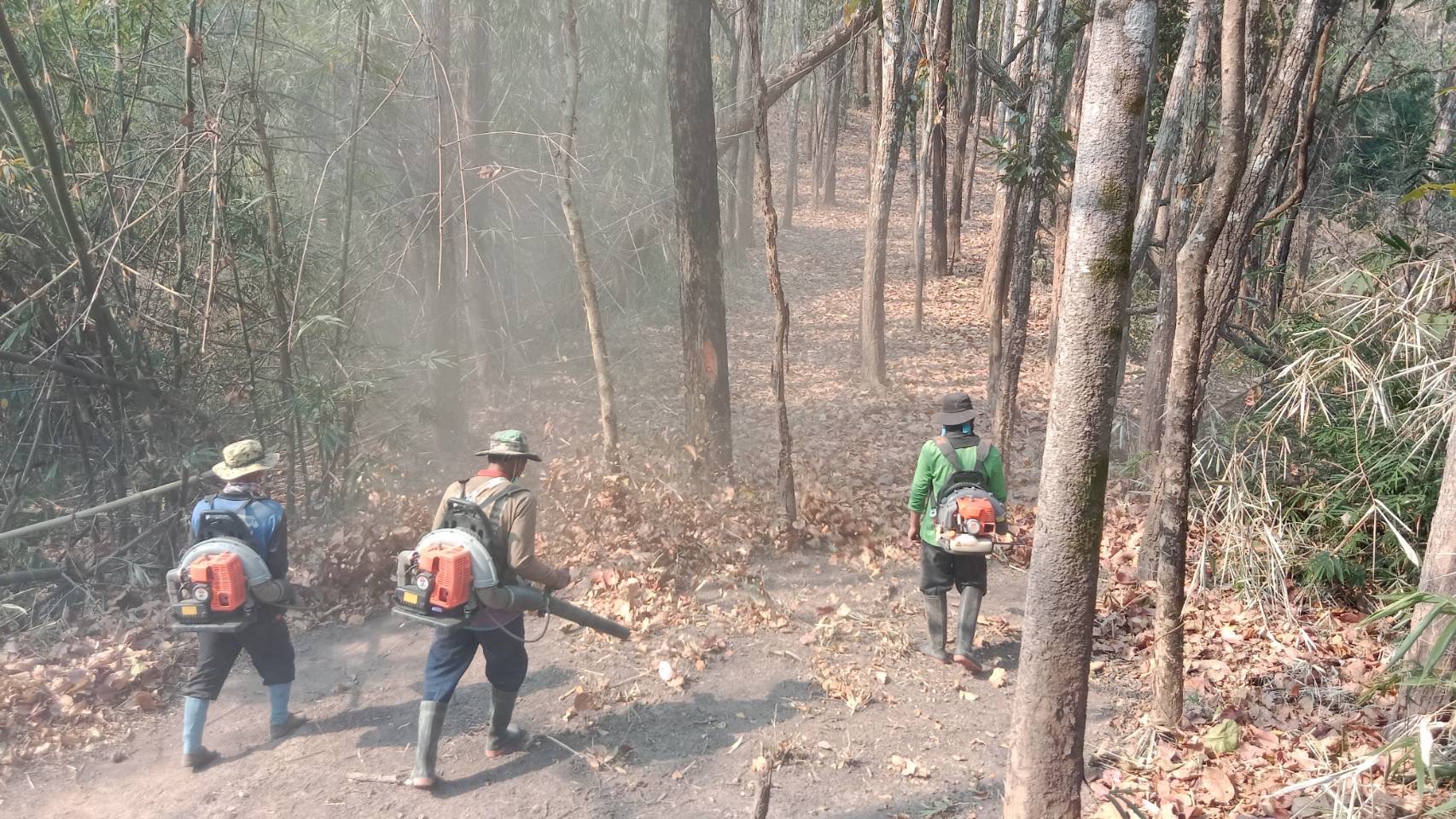 อำเภอพญาเม็งราย จัดทำแนวกันไฟในพื้นที่ป่าชุมชนที่เสี่ยงต่อการเกิดไฟป่า