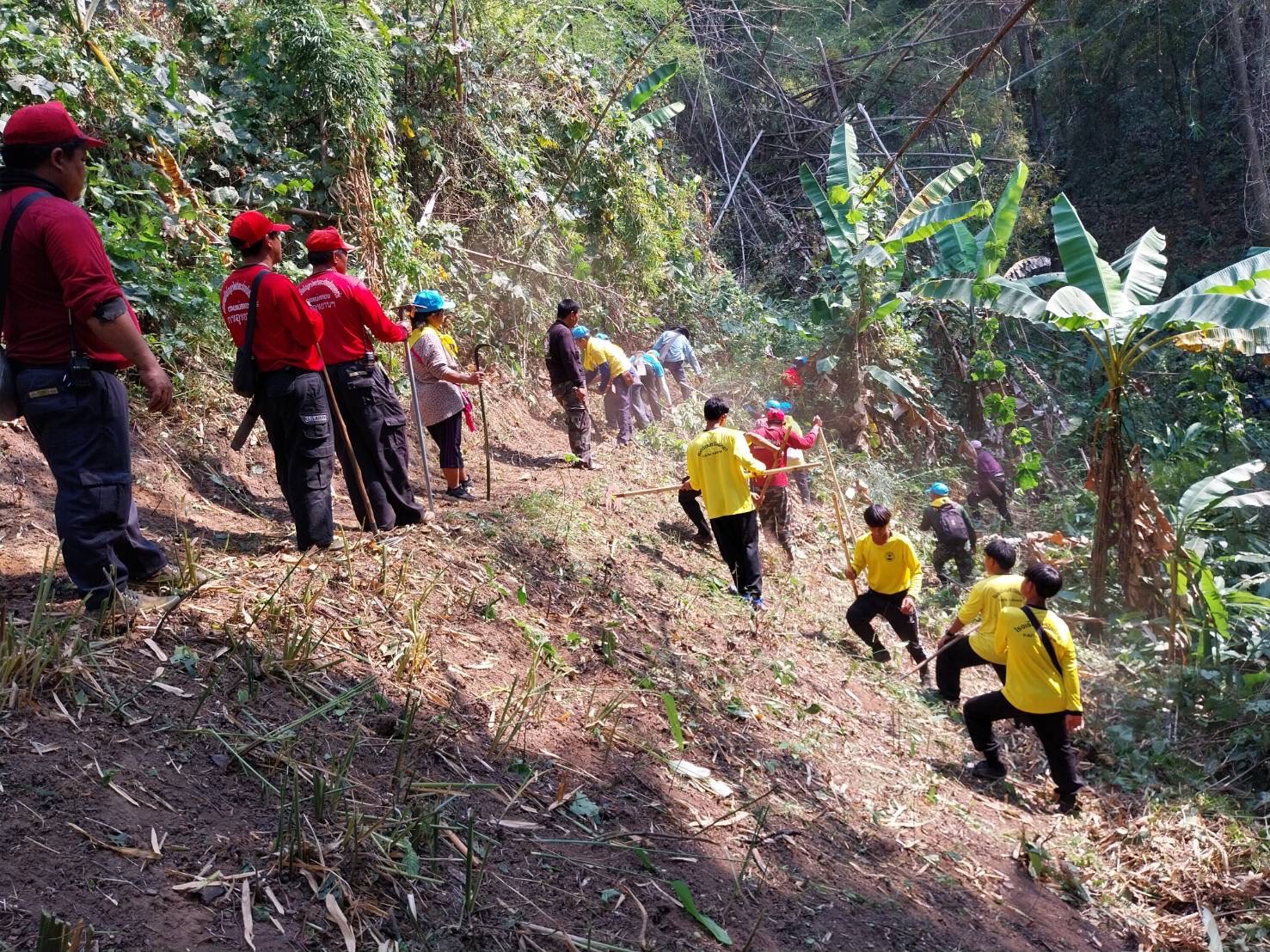 อำเภอแม่จัน จัดทำแนวกันไฟในพื้นที่ป่าชุมชน ลาดตระเวณเฝ้าระวังเหตุในพื้นที่เสี่ยงเกิดไฟป่า