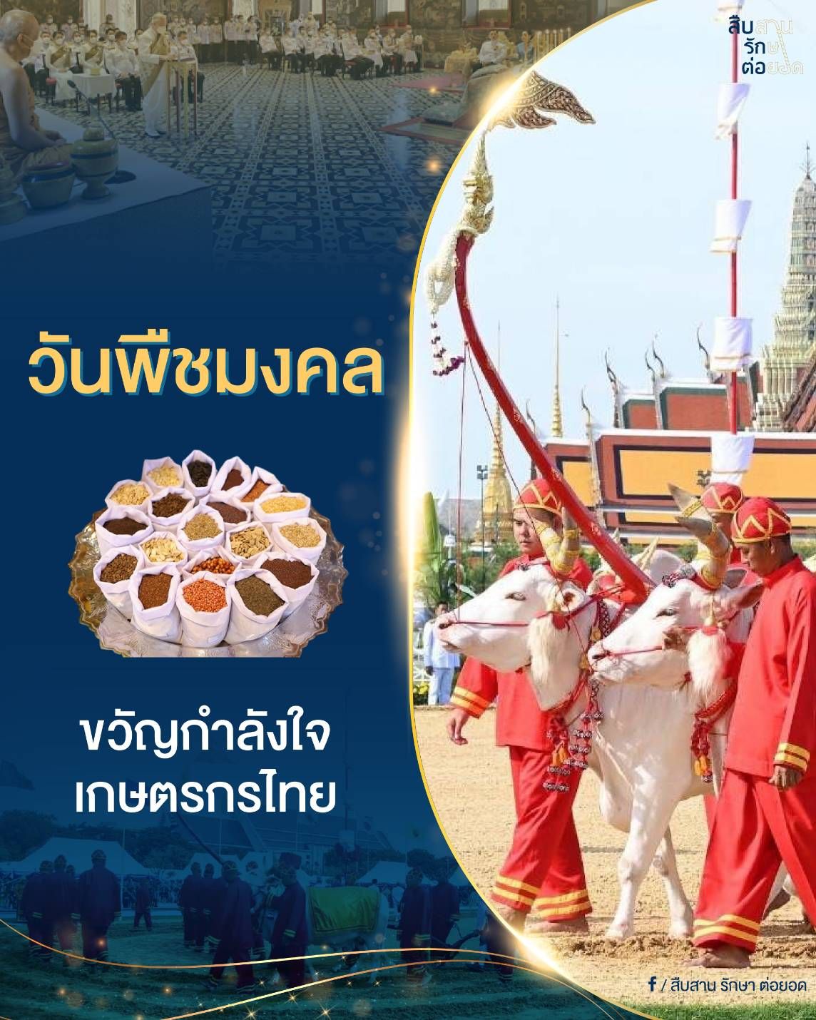 วันพืชมงคล ...ขวัญกำลังใจเกษตรกรไทย