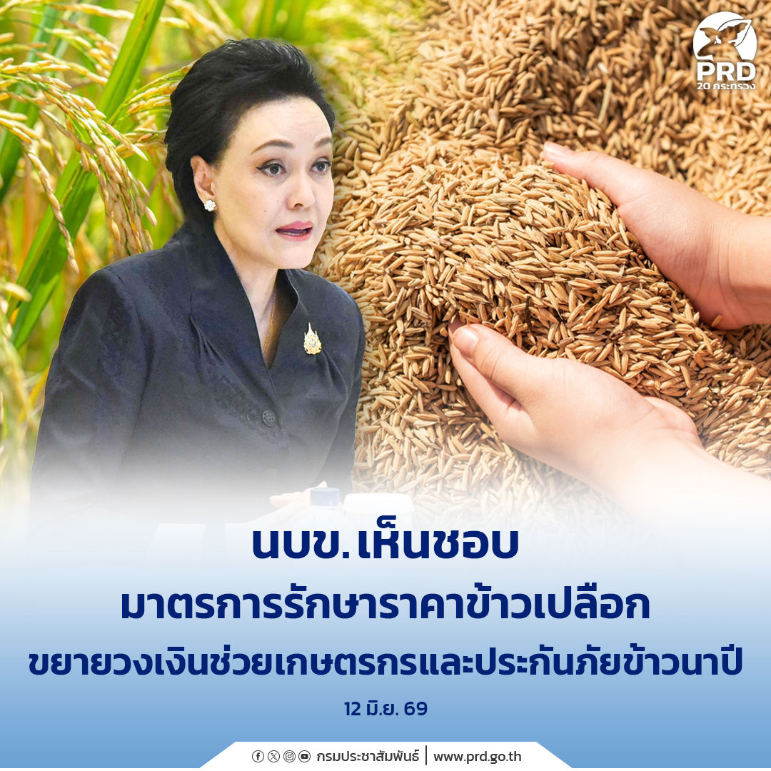 นบข. เห็นชอบมาตรการ รักษาราคาข้าวเปลือก ขยายวงเงินช่วยเกษตรกรและประกันภัยข้าวนาปี