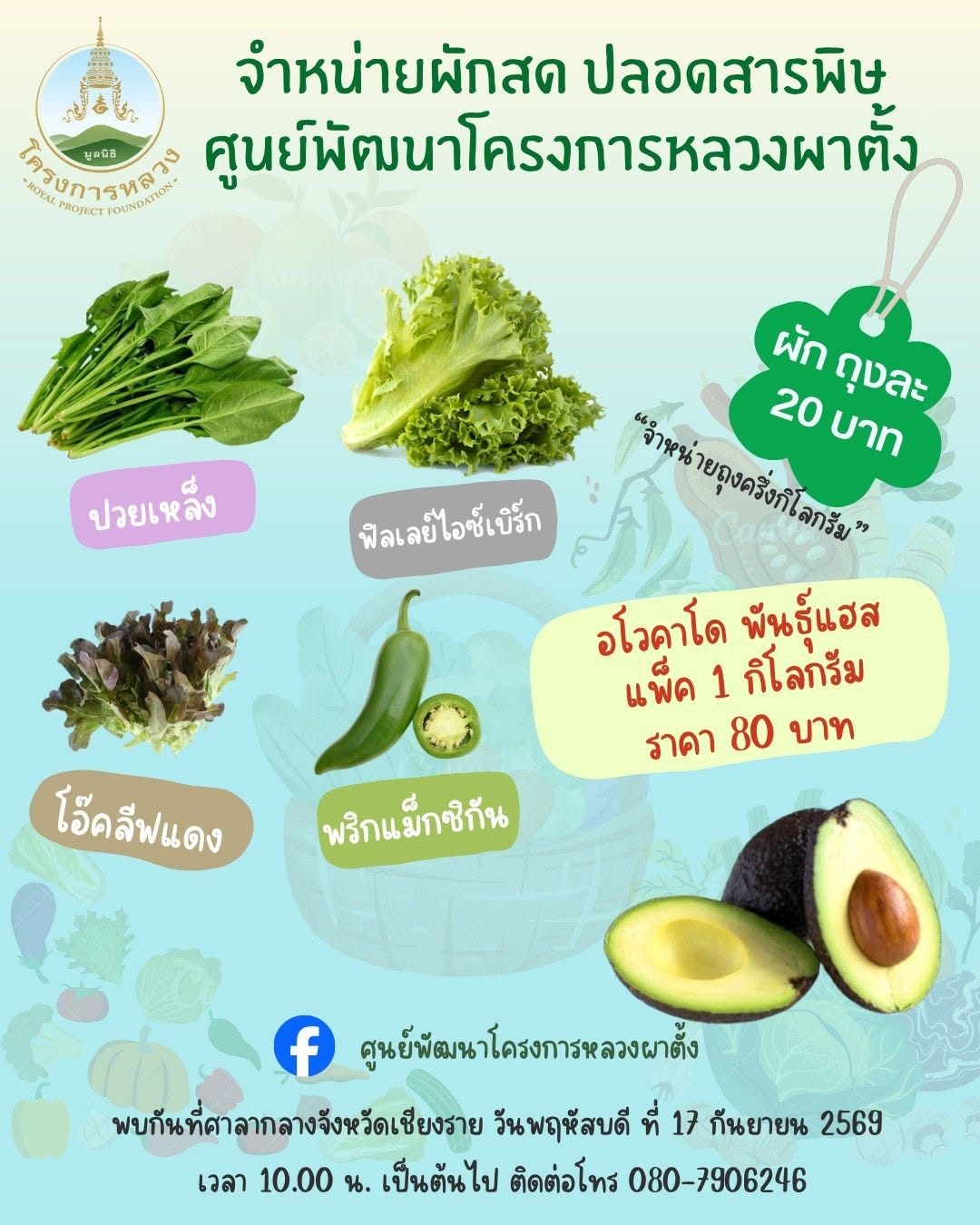  ขอเชิญชวนทุกท่านเลือกซื้อ ผักปลอดสารพิษคุณภาพดี จากโครงการหลวง สด ใหม่ ปลอดภัย มั่นใจได้ทุกขั้นตอนการผลิต