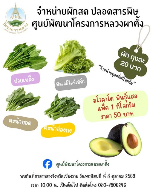  ขอเชิญชวนทุกท่านเลือกซื้อ ผักปลอดสารพิษคุณภาพดี จากโครงการหลวง สด ใหม่ ปลอดภัย มั่นใจได้ทุกขั้นตอนการผลิต